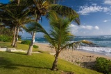  Blue Paradise Dr 5 Cabarete 