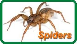  Profile Photos of Insight Pest Solutions 4201 Stuart Andrew Blvd Suite G - Photo 5 of 7