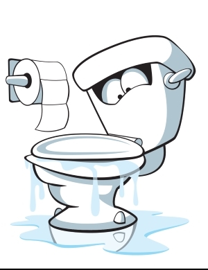 Local Plumbers Natick MA Profile Photos of JBL Drain Specialist 30 Farwell St - Photo 2 of 111