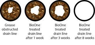 drain cleaning plumber Natick MA Profile Photos of JBL Drain Specialist 30 Farwell St - Photo 23 of 111