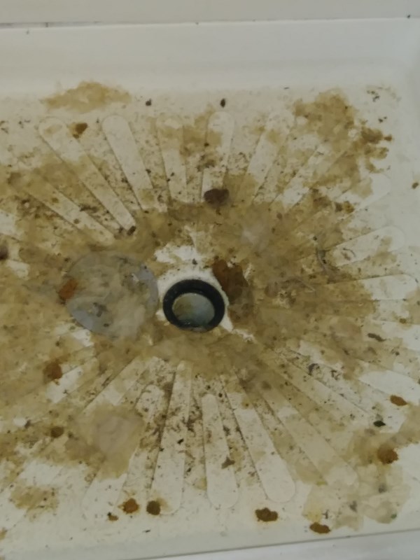 high pressure water jet drain cleaning Natick MA Profile Photos of JBL Drain Specialist 30 Farwell St - Photo 51 of 111