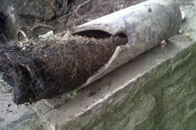 professional drain cleaner Natick MA Profile Photos of JBL Drain Specialist 30 Farwell St - Photo 81 of 111