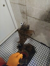water jet drain cleaner Natick MA, JBL Drain Specialist, Natick