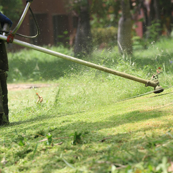  New Album of All Care Lawns, LLC 27513 Martins Farm Rd - Photo 2 of 4
