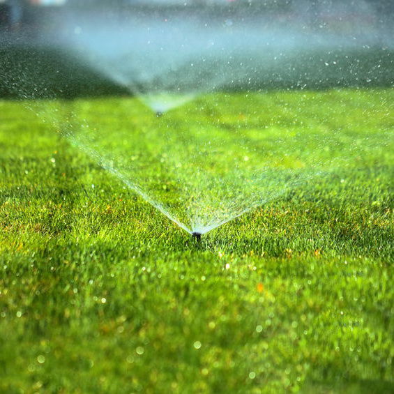  New Album of All Care Lawns, LLC 27513 Martins Farm Rd - Photo 3 of 4