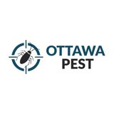 Ottawa Pest, Ottawa