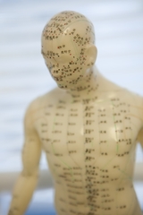 acupuncture for back pain Boston MA Gracey Holistic Health 800 Boylston Street 