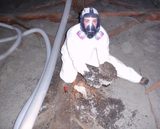 Roof Insulation Houston<br />
 A AffordableInsulators & Services 14925 Stuebner Airline Unit 301-B 