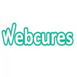  Profile Photos of Web Cures | SEO Services Provider Company Town Center Drive Suite 300 - Photo 1 of 1