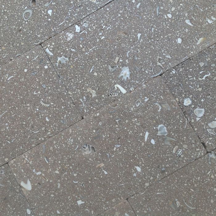  New Album of Paver Master 9870 NW 117th Way - Photo 2 of 5
