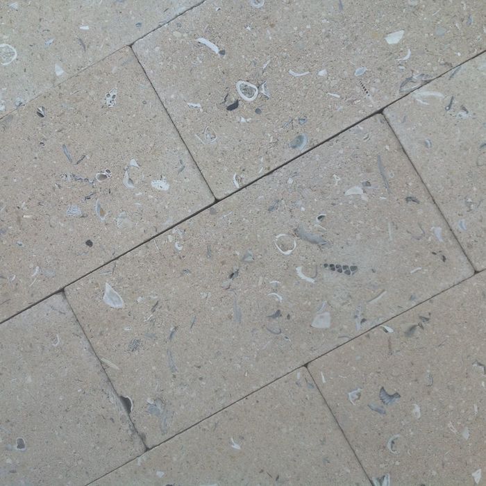  New Album of Paver Master 9870 NW 117th Way - Photo 3 of 5