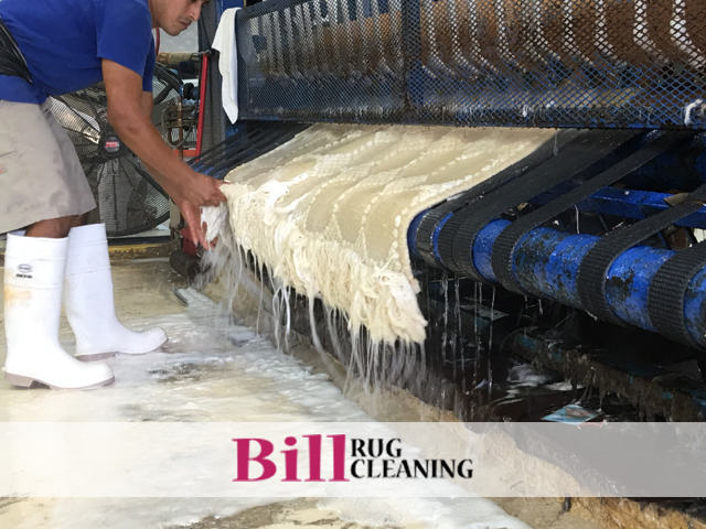  New Album of Bill Oriental Rug Cleaning Miami 901 S Miami Ave - Photo 6 of 12