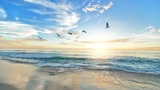 Gulf Coast Vacation Rentals Bradenton, Bradenton