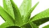  MANNATECH - The Gift of Wellness and Business Opportunity - www.mannapages.com/heinrichhaasbroek 2Van Eeden Avenue, Risiville 