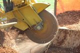  Georgia Tree Company - Tree Removal Services Gainesville 8820 Fairlane Trail 