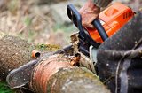  Georgia Tree Company - Tree Removal Services Gainesville 8820 Fairlane Trail 