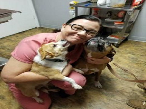  New Album of Baycrest Animal Clinic 5819 Memorial Highway - Photo 2 of 4