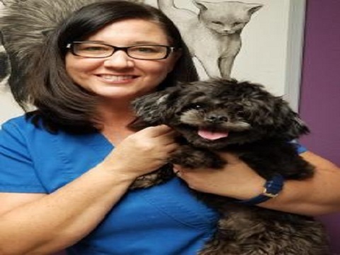  New Album of Baycrest Animal Clinic 5819 Memorial Highway - Photo 3 of 4