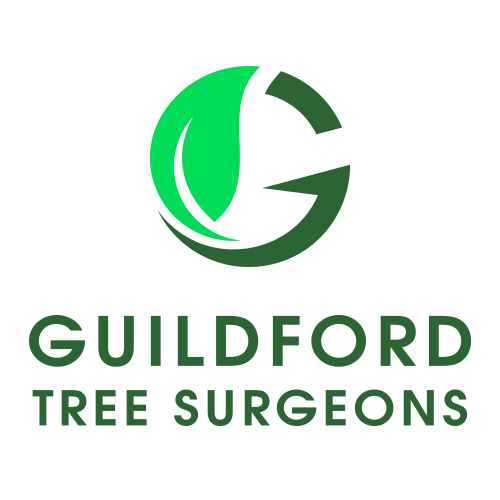  Profile Photos of Guildford Tree Surgeons 14 London Road - Photo 1 of 2