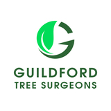 Guildford Tree Surgeons, Guildford
