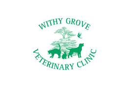  Profile Photos of Withy Grove Vets 37-39 Station Road, Bamber Bridge - Photo 1 of 1