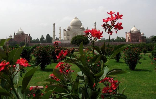  Pricelists of Mehtab Bagh Garden Agra 306, Ocean Complex, Sector-18 - Photo 1 of 5