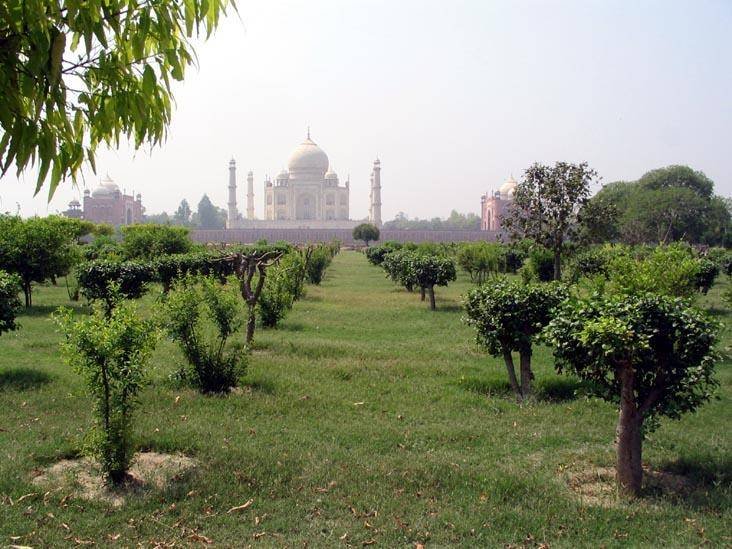  Pricelists of Mehtab Bagh Garden Agra 306, Ocean Complex, Sector-18 - Photo 2 of 5