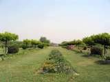 Menus & Prices, Mehtab Bagh Garden Agra, Noida