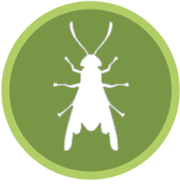  Profile Photos of Bug Busters Pest Control 