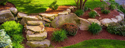  New Album of The Mulch Masters of N.C., Inc. 10200 Durant Road - Photo 3 of 4