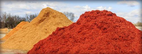  New Album of The Mulch Masters of N.C., Inc. 10200 Durant Road - Photo 4 of 4