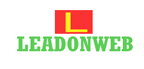 Top Digital Agency In India, Best Online Marketing Company - Leadonweb, Meerut