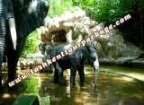 Menus & Prices, Tashkent Tour Packages, Tashkent Group Tour from Delhi, Trip to Tashkent from India, New Delhi