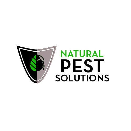 best pest control company melbourne Profile Photos of Natural Pest Solutions Suite #1 â€“ 42 Montpelier Dr. - Photo 2 of 2