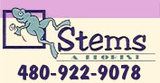 Stems A Florist, Scottsdale