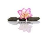 Pampe & Beauty Specialists Tip2Toe Nail & Beauty - Mobile Beauty Therapist 38 Blind Lane 