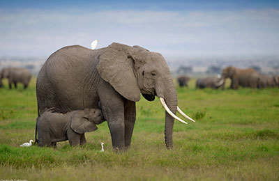  Profile Photos of Bundu Tours and Safaris East Gate Mall, Opposite Jogoo Road - Photo 1 of 1