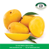 Savani Farms LLC, Fort Washington