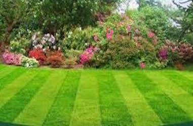  Profile Photos of Mighty Green Lawn Care 5331 Perimeter Pkwy - Photo 2 of 4