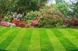  Mighty Green Lawn Care 5331 Perimeter Pkwy 