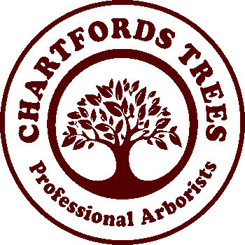  Profile Photos of Chartfords Trees 93 Hazelwood Road - Photo 1 of 1