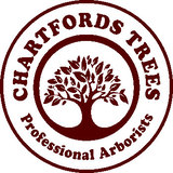 Chartfords Trees, Oxted