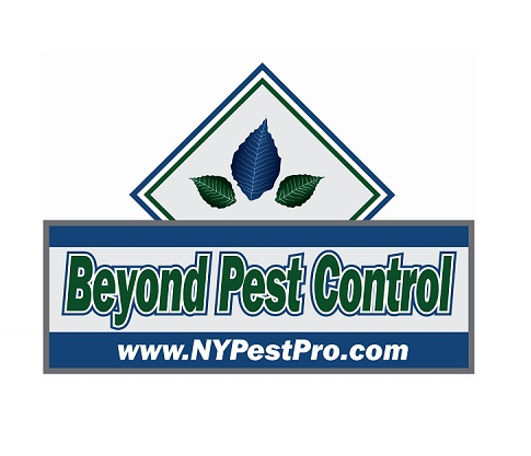  Profile Photos of Beyond Pest Control Inc. 2805 Astoria Blvd - Photo 1 of 1