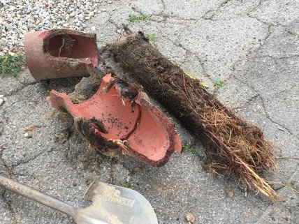  New Album of The Rooter Drain Expert 19425 Soledad Canyon Rd #314 - Photo 1 of 3