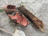 The Rooter Drain Expert, Canyon Country