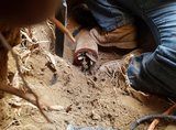 The Rooter Drain Expert, Canyon Country