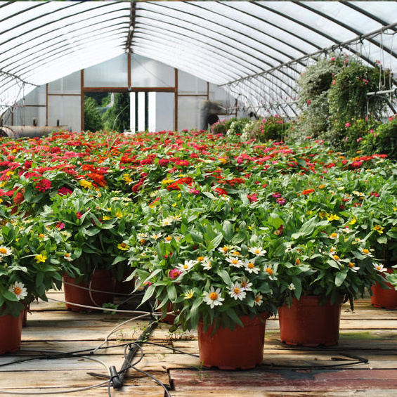  New Album of Flamingo Road Nursery 1655 S Flamingo Rd - Photo 4 of 4