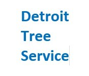  Profile Photos of Detroit Tree Service 20501 Livernois Ave Unit 211162 - Photo 1 of 1