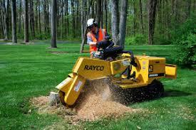  New Album of Detroit Tree Service 20501 Livernois Ave Unit 211162 - Photo 7 of 7