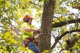  Detroit Tree Service 20501 Livernois Ave Unit 211162 